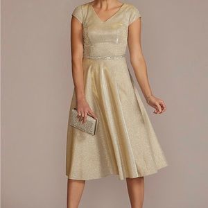 Oleg Cassini Women’s Metallic Tea- length Aline Dress- Size 22